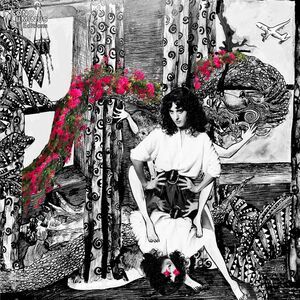 Thomas Bartlett - Sopp: The Hem & The Haw  CD